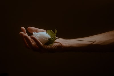 Holding a white and green frog figurines
